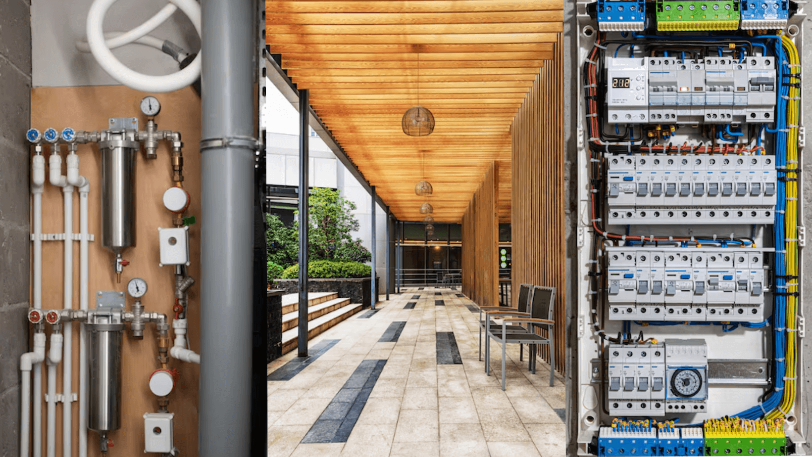 Accelerating Success